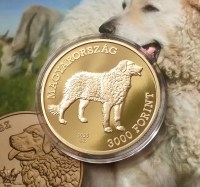 IMG_20251016_151210_1