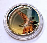 IMG_20260801_113620